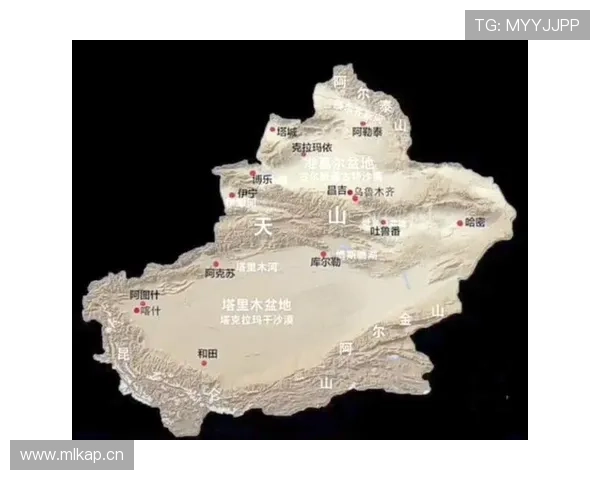 国家队关键赛事推进全景解析备战形势与晋级前景观察最新动态展望